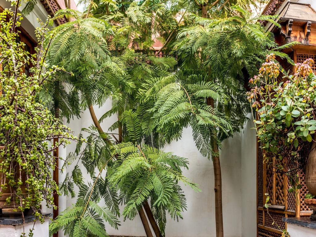 Riad Les Trois Cours มาร์ราเกช ภายนอก รูปภาพ